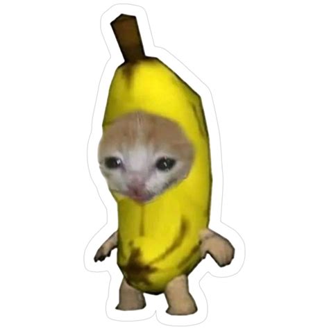 "banana cat meme" Sticker for Sale by natuchicken in 2025 | Cat memes
