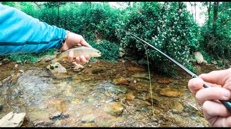 Dry Dropper Fly Fishing For WILD TROUT YouTube