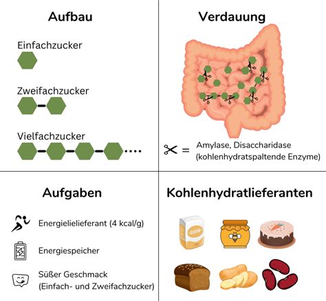 Alles Was Zum Thema Kohlenhydrate Wichtig Ist Neatic