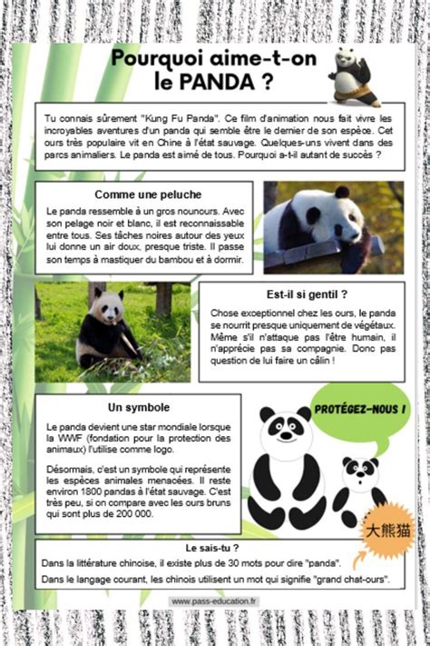 Lecture Documentaire Sur Les Pandas Ce Ce Cm Documentaire