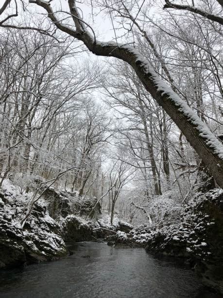 Snowy River National Park Stock Photos, Pictures & Royalty-Free Images ...