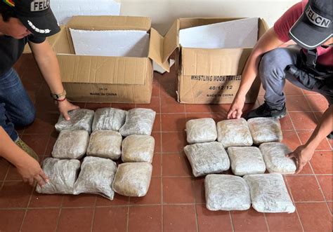 Agentes antinarcóticos incautan casi 15 kilos de marihuana en almacenes