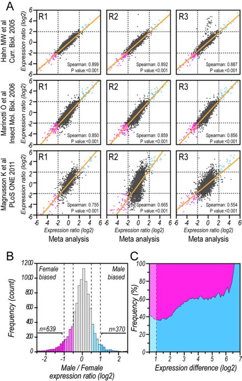 Meta Analysis Of Genome Wide Sex Biased Expression In Adulta