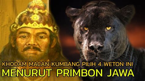 Khodam Macan Kumbang Pilih Weton Ini Menurut Primbon Jawa Youtube