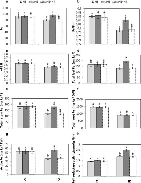 Fluorescence parameters Fo a Fv Fm b and ΦPSII c total leaf