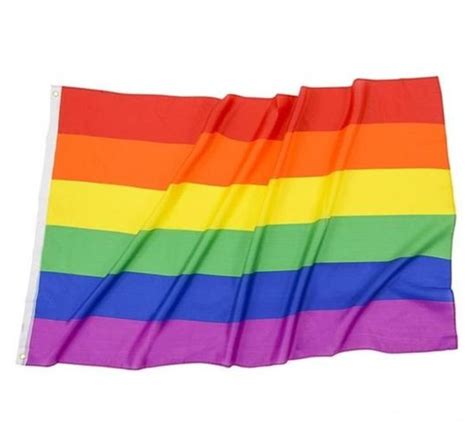 Gay Flag 3 X 5 Polyester Rainbow Flag Lesbian Gay Pride Parade