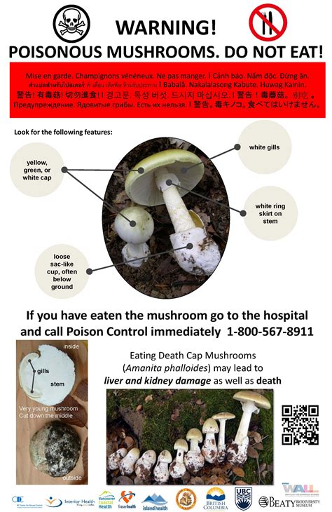 Advisory: Death Cap Mushrooms