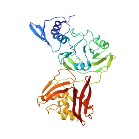 Rcsb Pdb 7tj2 Sars Cov 2 Endoribonuclease Nsp15 Bound To Dsrna