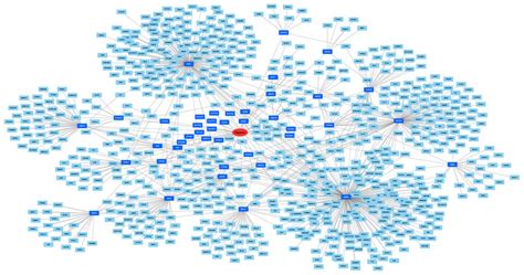 Visualization Of Drug Gene Interaction Network The Red Elliptic Node