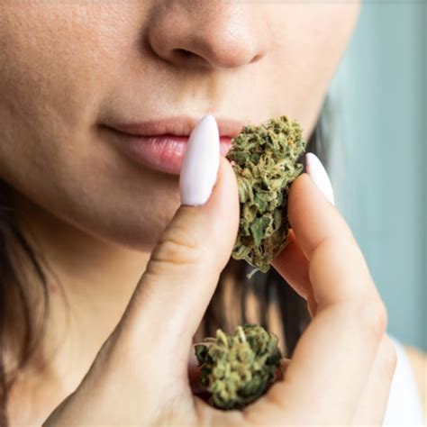 I Tried It Things To Know About Getting Your Vagina High With Forias Cannabis Lube The Frisky