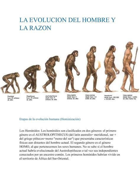 Evolucion Del Hombre