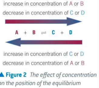 Reaction Rates And Equillibrium Flashcards Quizlet