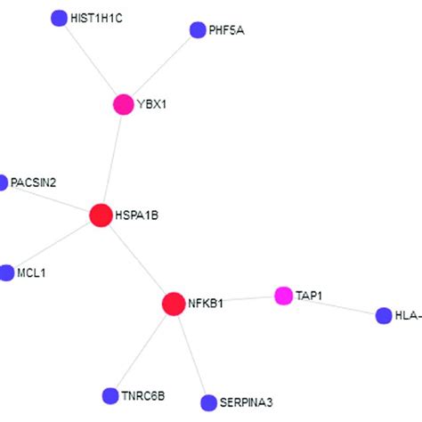 Eleven Out Of Proteins Encoded By The Autism Spectrum Disorder