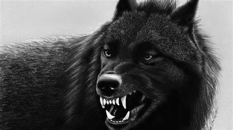 Cool Black Wolf Wallpapers - Top Free Cool Black Wolf Backgrounds ...