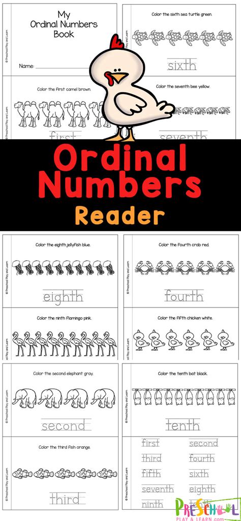 Ordinal Numbers Exercises Worksheet