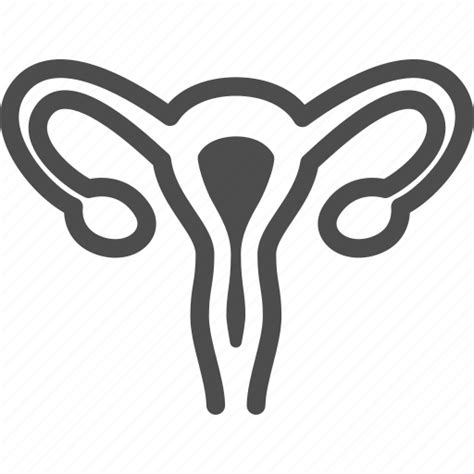 Female Human Internal Organ Reproductive Uterus Icon Download On Iconfinder