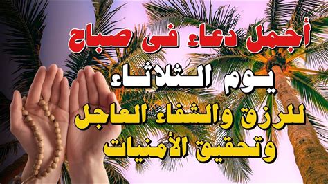 ياارب 🥹💜دعاء يوم الثلاثاء المستجاب💜لجلب الرزق والشفاء العاجل وقضاء