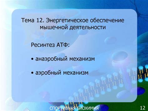 Спортивная биохимия. (Часть 3) - презентация онлайн