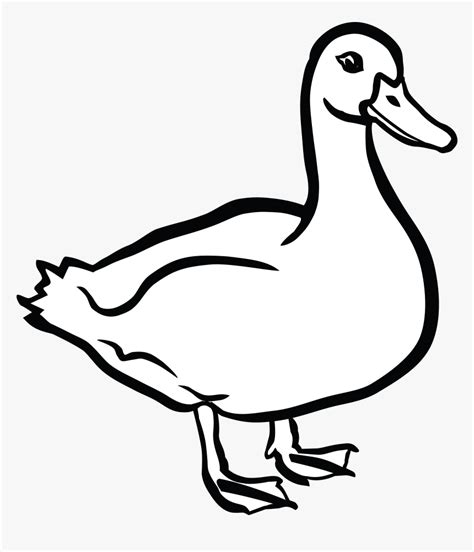 Duck Black And White - Clip Art Black And White Duck, HD Png Download ...