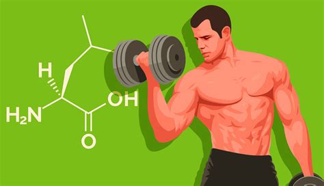 Стоит ли принимать BCAA?