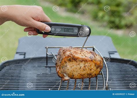 Pork Roast on the Grill with Thermometer Stock Image - Image of delicious, fried: 42039227