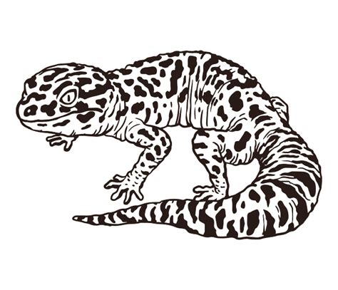 Leopard Gecko SVG