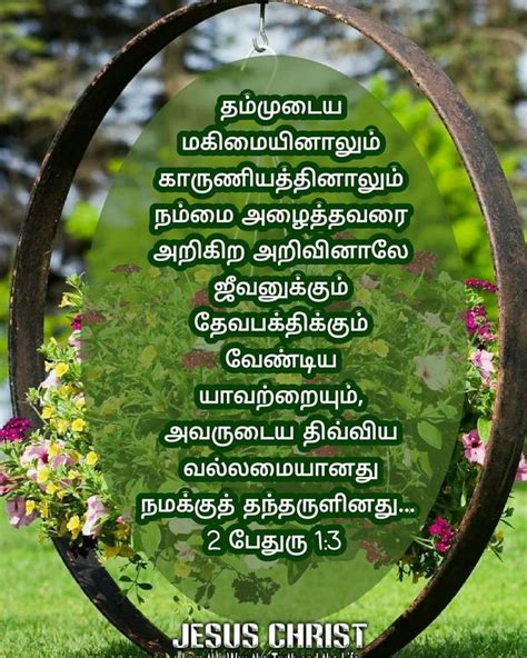 Pin on Tamil Bible words | Tamil bible words, Bible words, Jesus photo