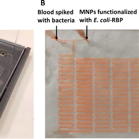 microfluidic device fixed   dedicated support holding