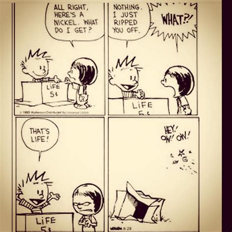 Calvin And Hobbes Daily On Instagram “it S Scary How Accurate This Is Billwatterson