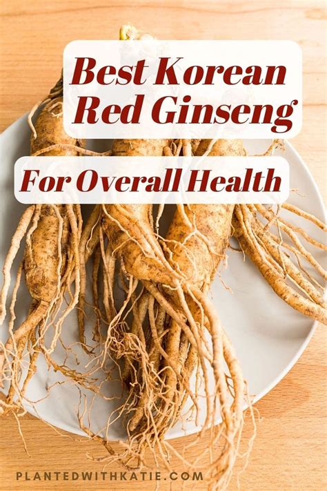 Best Korean Red Ginseng Ginseng Benefits For Health In Red