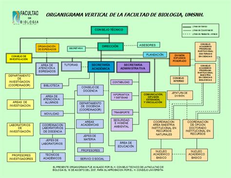 Organigrama Hot Sex Picture