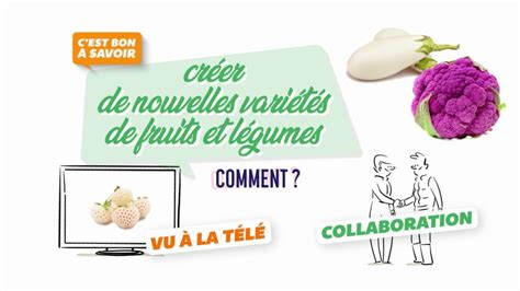 Créer de nouvelles variétés de fruits et légumes Comment en replay