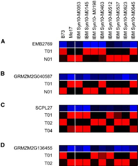 Relative Expression Level Of Isoforms For Genes With Differ Ential Download Scientific Diagram