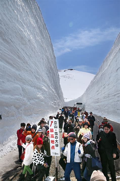 富山県 立山・黒部アルペンルート全線開通 雪の壁高さ19メートル｜北陸新幹線で行こう！北陸・信越観光ナビ