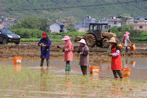 河池市宜州区：开足马力推进春耕春种 河池 广西壮族自治区农业农村厅