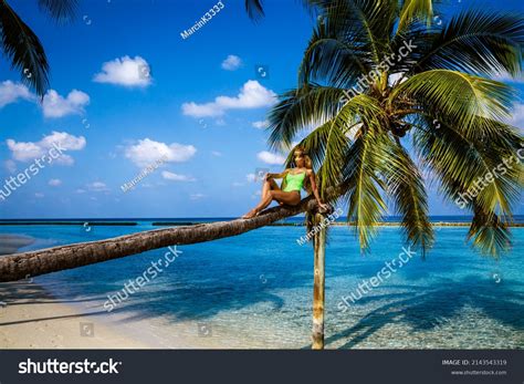 Beautiful Woman Bikini On Palm Tree Stock Photo 2143543319 Shutterstock
