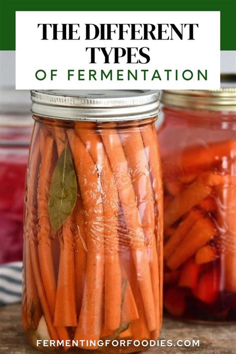 Learn about the different types of fermentation | Fermentation ...