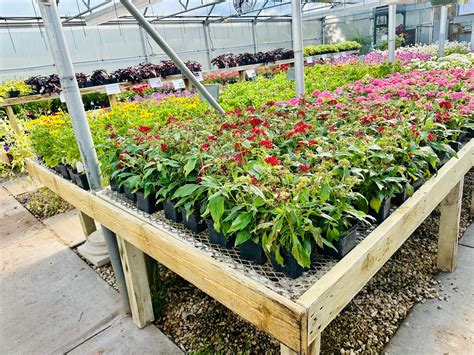 Superior Lawn and Garden | Sheboygan WI