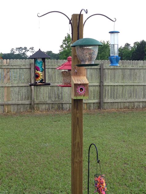 Diy Bird Feeder Pole Ideas - Christopher Myersa's Coloring Pages
