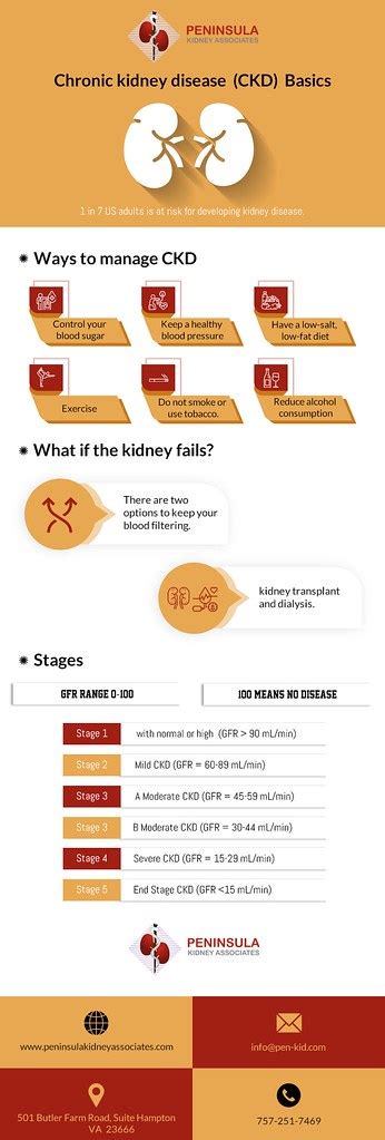 Chronic Kidney Disease Ckd Basics This Infographic Shows Flickr