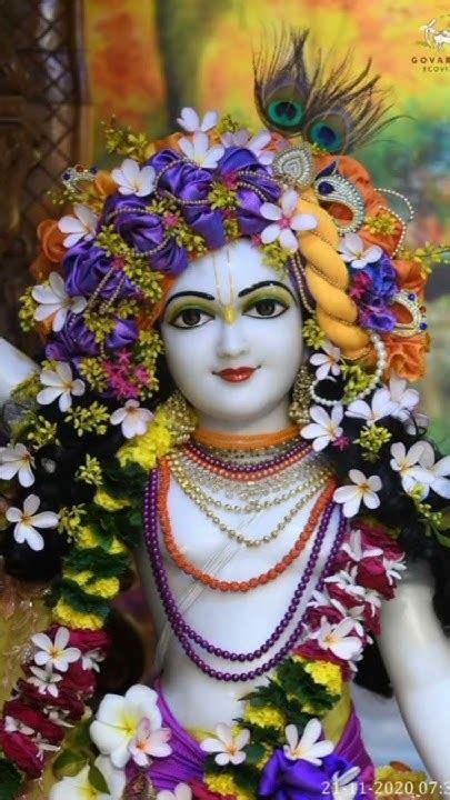 फूलों में सज रहे हैं श्री वृंदावन बिहारी। जय श्री राधे राधे 🙏🙏🙏🌹🌹🌹 ️ जय