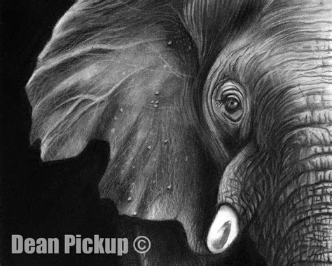 "Elephant in the Room" Fine Art Print - 13x16 Dean Pickup Art