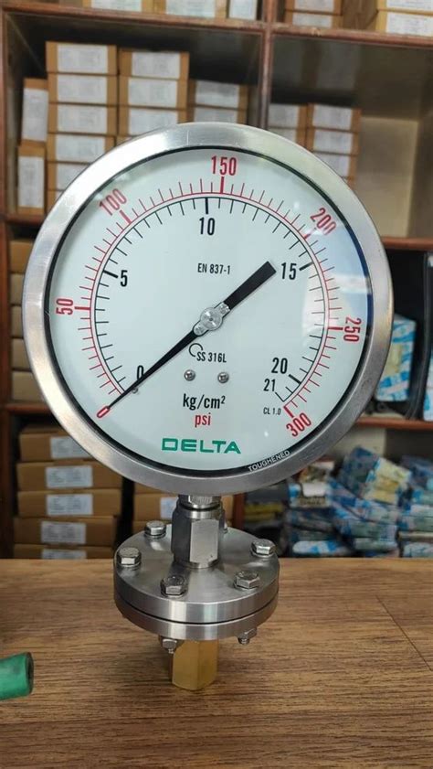 Inch Mm Delta Diaphragm Seal Pressure Gauge At In Bengaluru