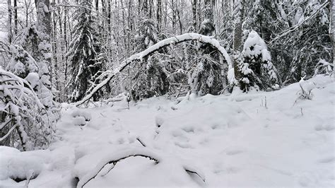 Winterwanderung Zum Eschkopf Pf Lzer Eskapaden Wanderung