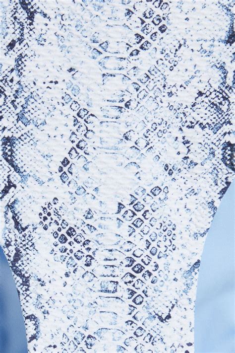 HEIDI KLEIN Casablanca Snake Print Stretch Jacquard Low Rise Bikini Briefs THE OUTNET