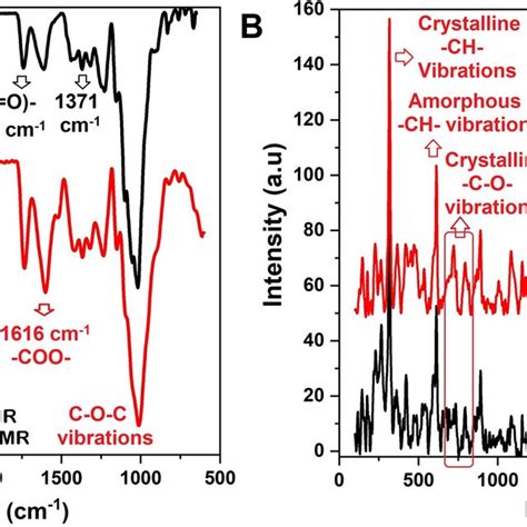 A ATR FTIR And B Raman Spectra For The DWMR Scaffolds With And Without