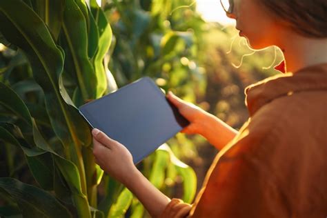 Premium Photo Smart Farm Farmer Female Standing In Corn Field With