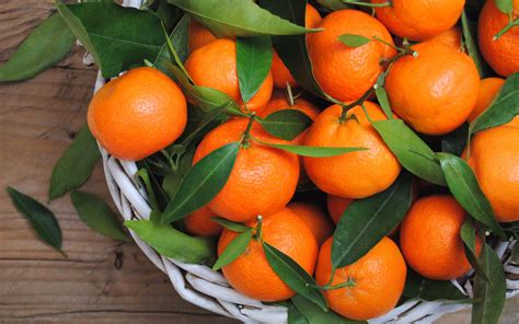 Download Fruit Food Mandarin Hd Wallpaper