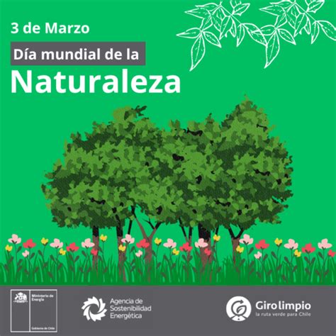 3 de Marzo Día Mundial de la Naturaleza Giro Limpio