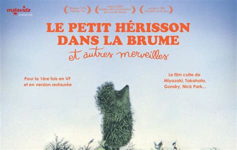 Le petit hérisson dans la brume et autres merveilles synopsis et